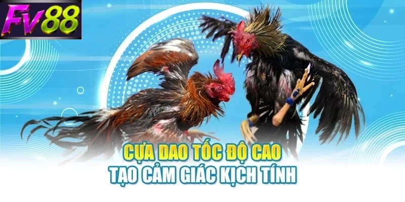 Cựa dao tốc độ cao tạo cảm giác kịch tính